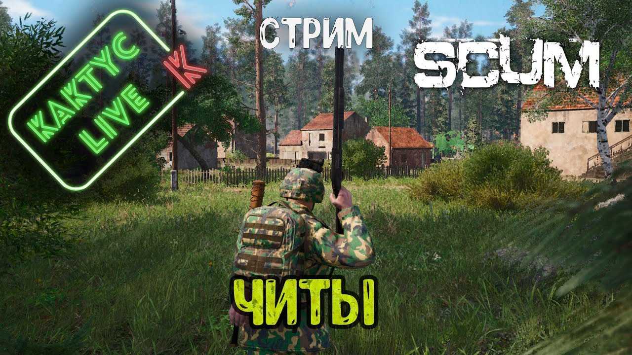 Scum коды. Scum читы. Коды на Scum. Чит коды Scum. Scum Cheat.