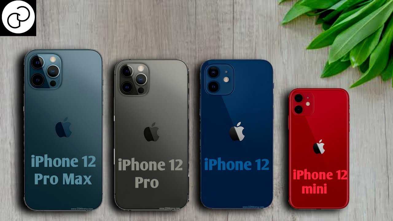 Iphone 12 и iphone 12 pro: найди 9 отличий