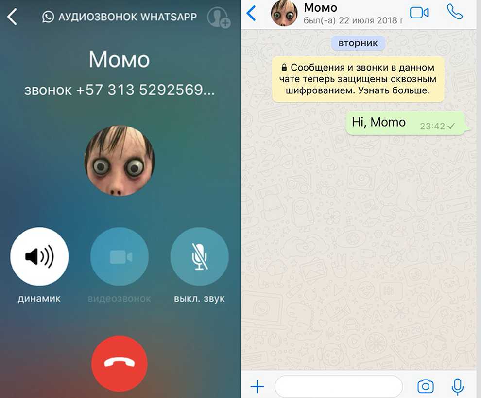 Настоящий рабочий номер момо whatsapp в россии