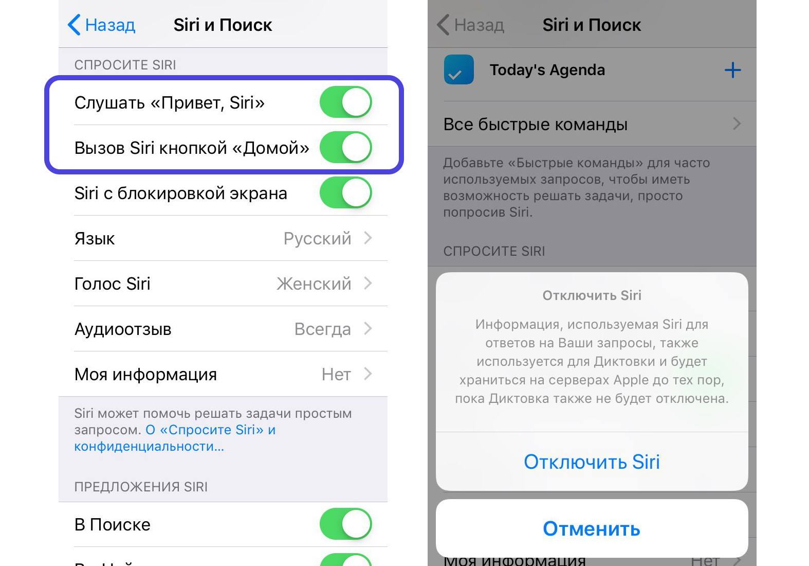 Как включить сири на айфоне и пользоваться программой, что такое siri, основы настройки, отключение голосового управления и прочай информация