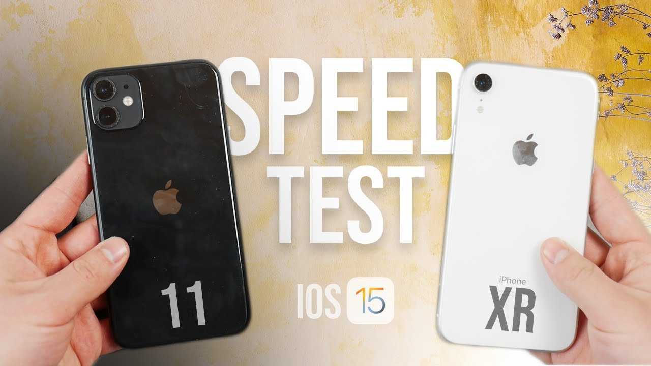 Сравнение iphone 11 и iphone xr — обзор и отличия двух смартфонов