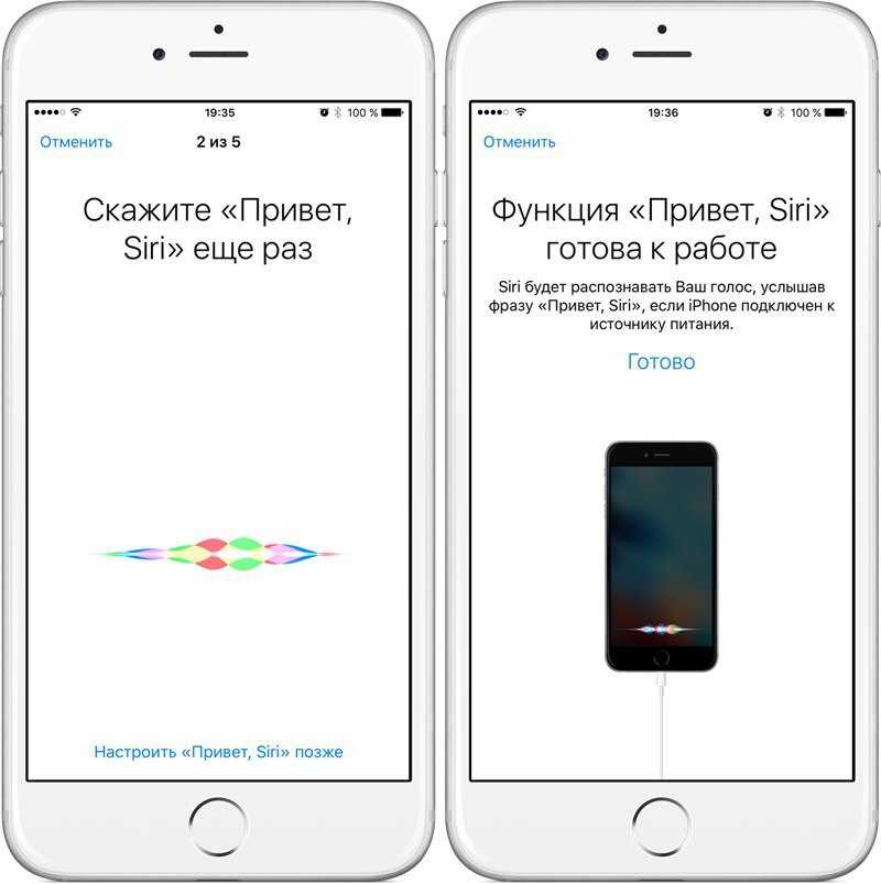 Ios 12: как скачать и установить новое обновление на айфон и айпад?