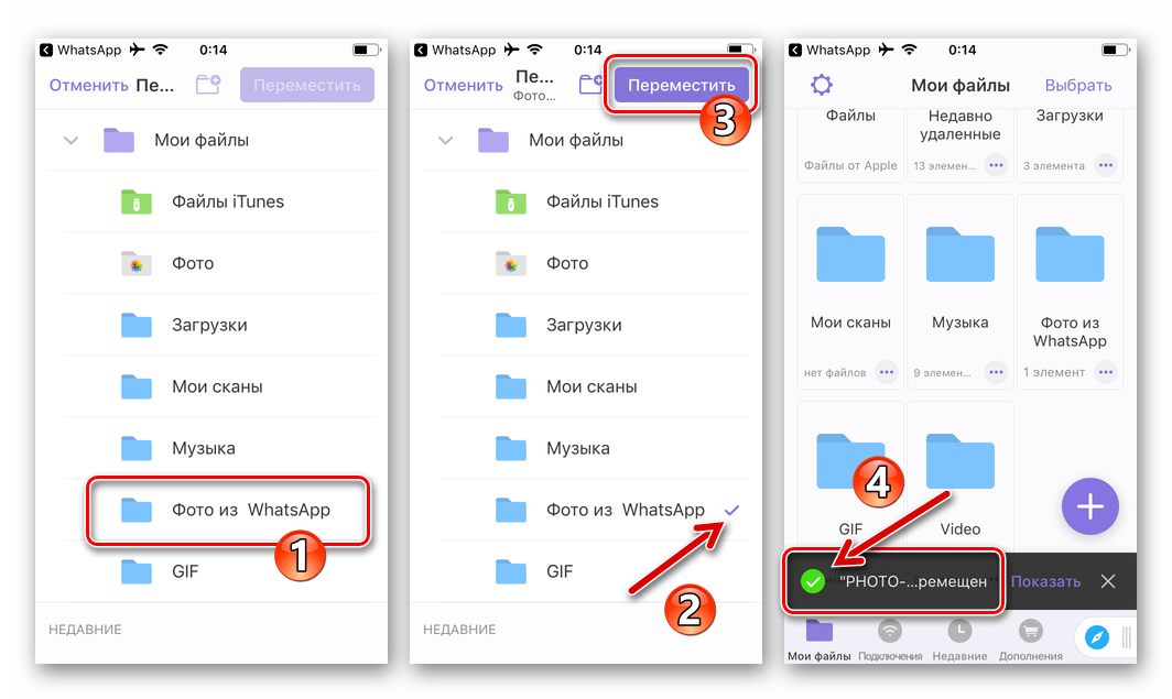 Как перекинуть фото с ватсапа. Ватсап файлы айфон. Как перенести фотографии из ватсапа в галерею. Как с вацапа перекинуть фото в галерею. Где хранятся фото из WHATSAPP.