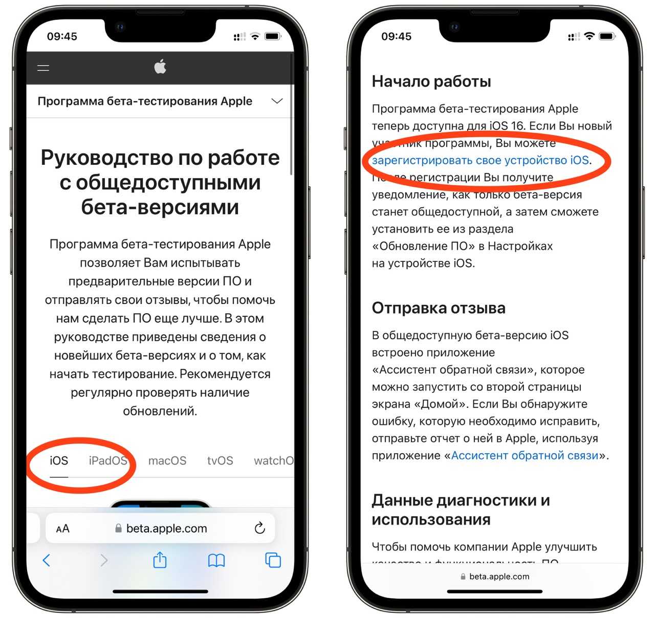 Как установить (или удалить) ios 14 beta на свой iphone