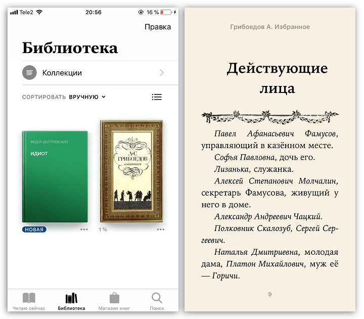 В каком формате скачивать. Приложение в книге. Приложение книги на айфон. Формат книг в приложении. Книги в электронном формате для скачивания бесплатно.