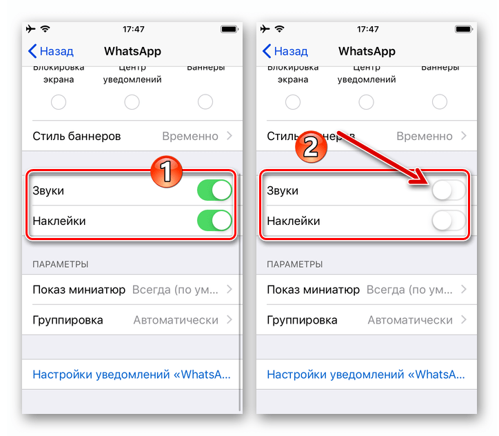 Whatsapp для iphone и как его скачать