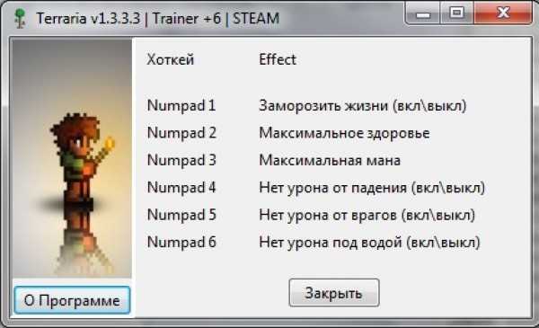 Terraria — чит коды и советы