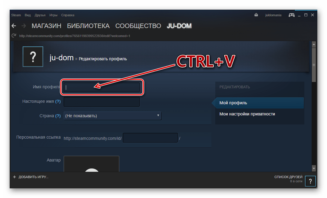 Как поставить имя. Имя аккаунта Steam. Имя для Steam. Имена в стим. Ники в стиме.