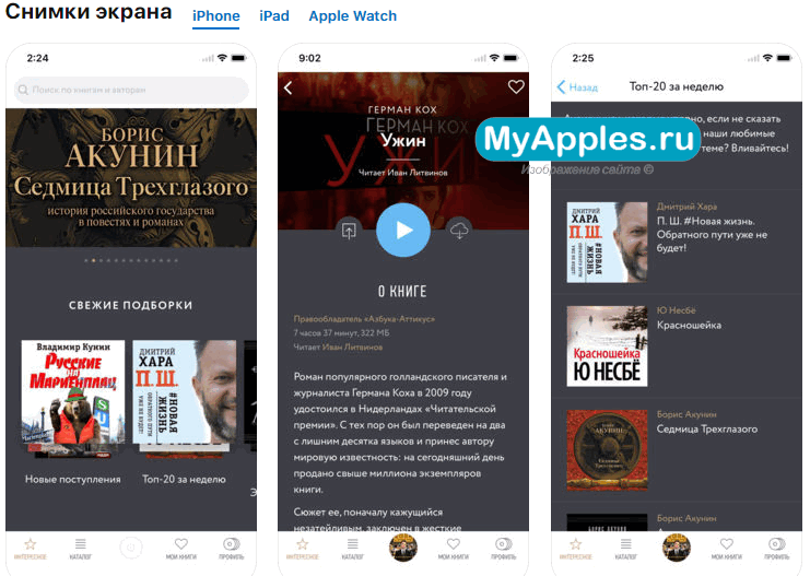 Приложения для аудиокниг на iphone: подборка лучших