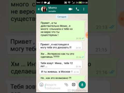 Кто такая момо: номер момо whatsapp - настоящий телефон в россии!