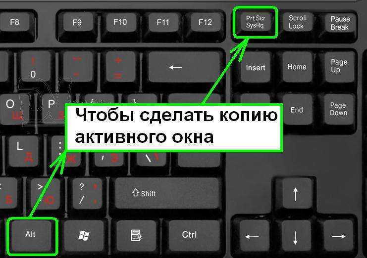 Как сделать скриншот картинки на компьютере с помощью клавиатуры