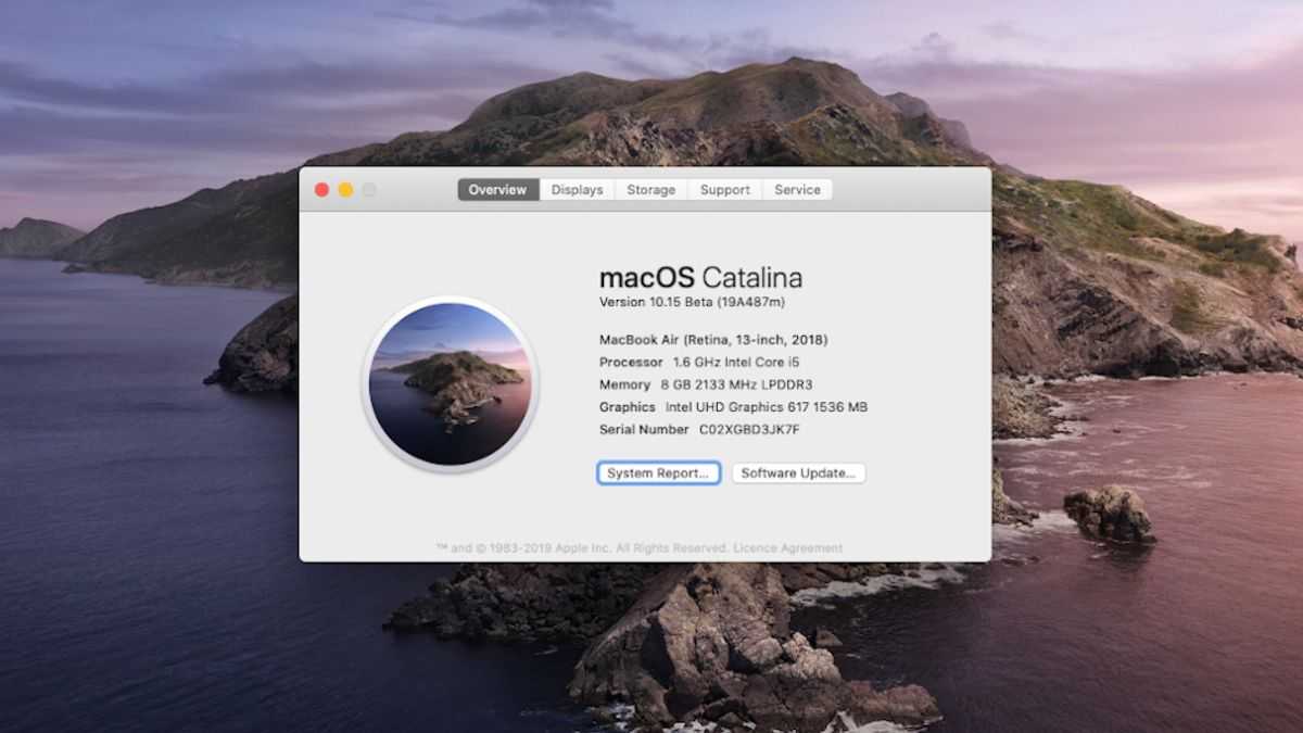 Mac не может обновить: причины и решения