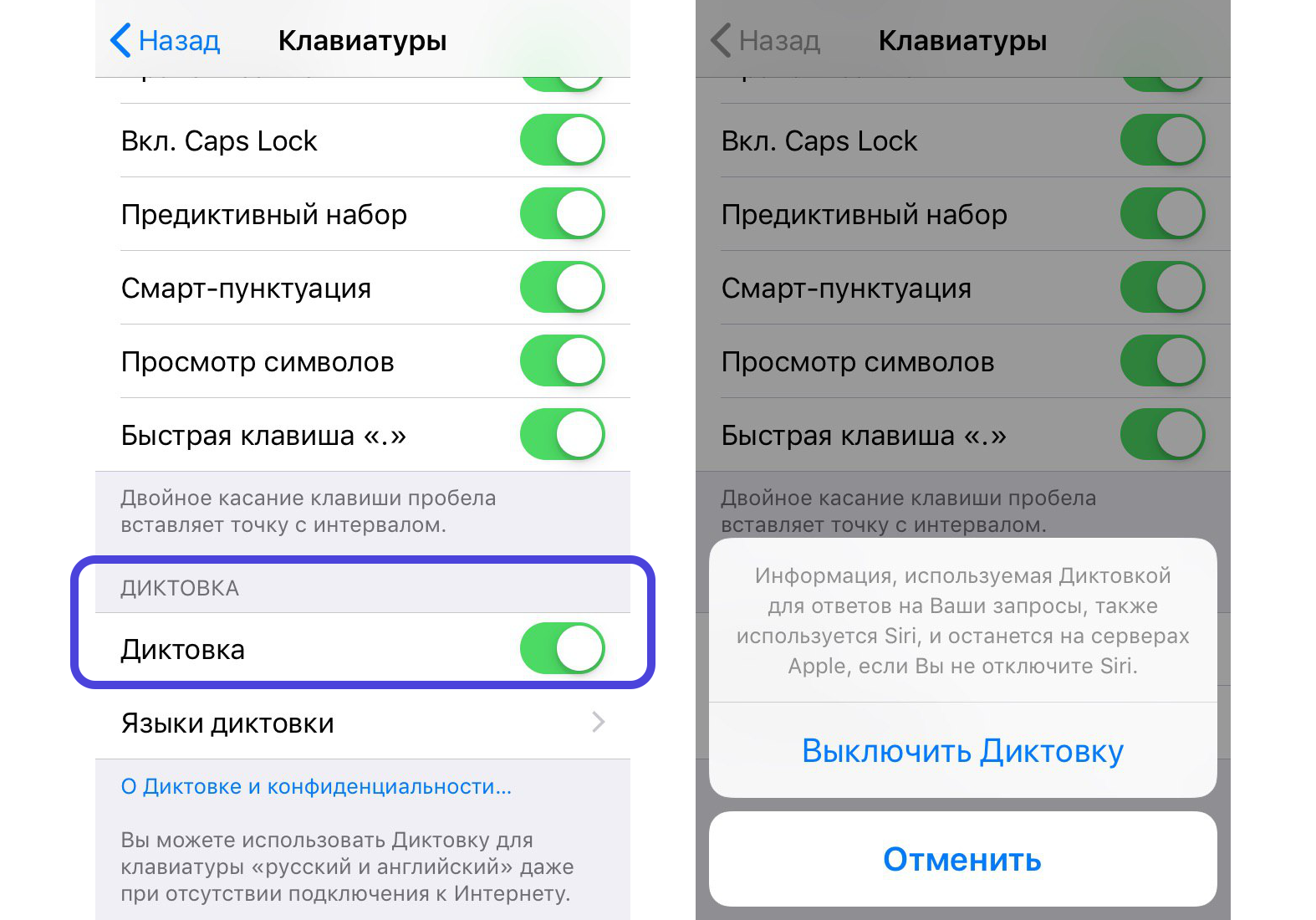 Запись разговора на айфоне. Как отключить Siri. Выключить диктовку на айфоне. Диктовка сири. Как сделать запись разговора на айфоне.