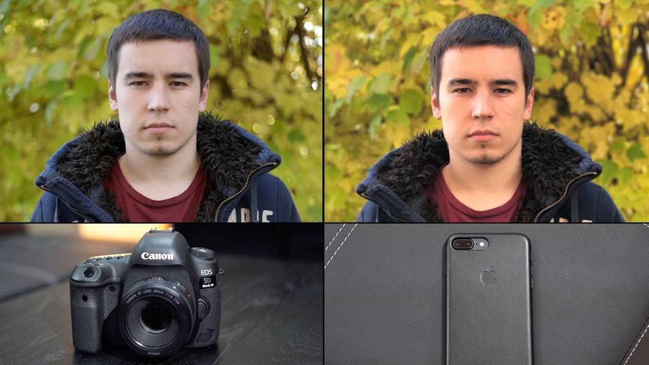 Чем отличается айфон 5 от 5s: сравнение двух моделей