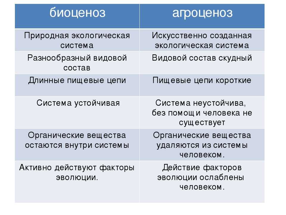 Как узнать, ростест айфон или нет: проверить и отличить от евротеста