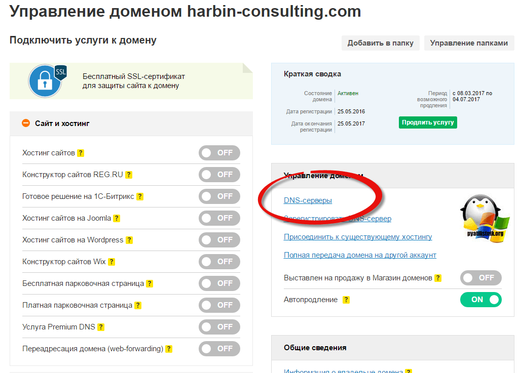 Подключить домен ru