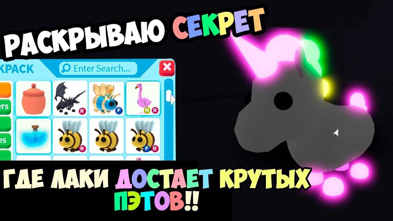 Внимание! никогда не заставляйте свою собаку ходить на двух ногах