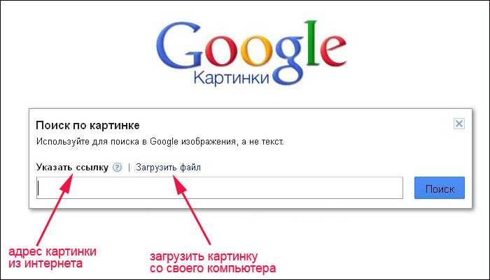 Поиск по картинке гугл