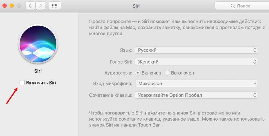 Siri: что это такое и как пользоваться