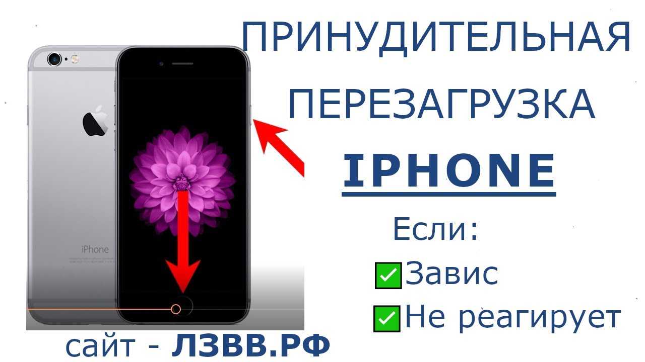 Как перезагрузить iphone pro