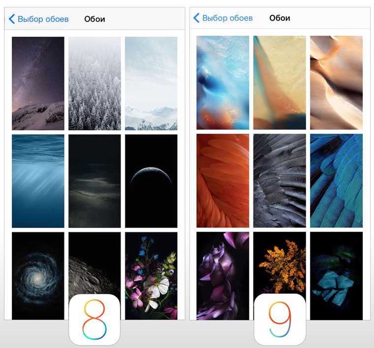 Смена обоев iphone. Обои на айфон до обновления. Обои установленные на айфоне. Обои в настройках айфона. Обои на айфон которые были раньше.