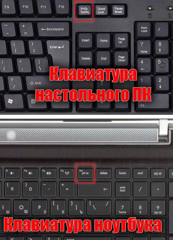 Как сделать скриншот экрана на компьютере?
