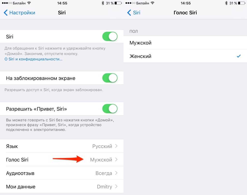 Как включить сири на айфоне любой модели — как вызвать siri